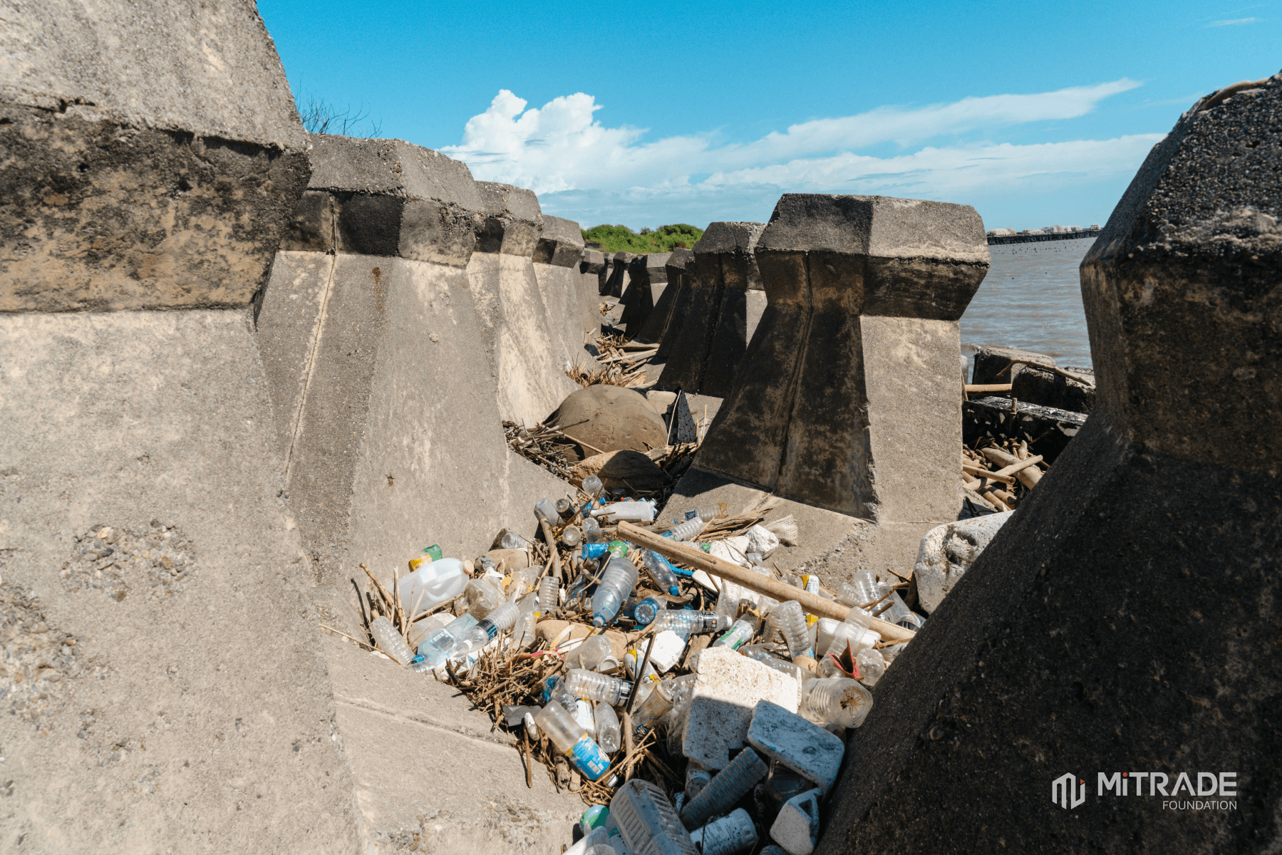 Marine debris collected between concrete wave breakers at Lin Hai Park