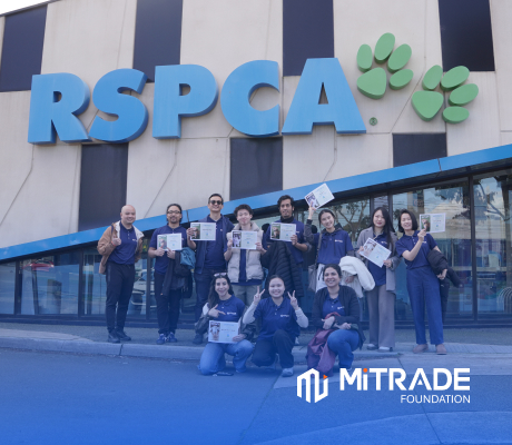 Mitrade volunteers preparing supplies at the RSPCA Victoria shelter